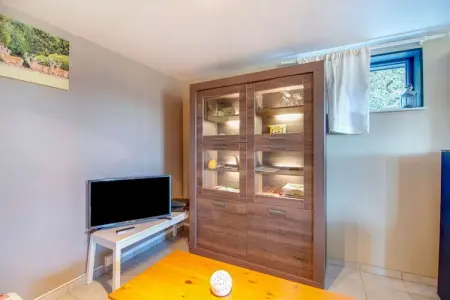 Maison 2 chambres avec terrasse près de la Lienne : photo 11