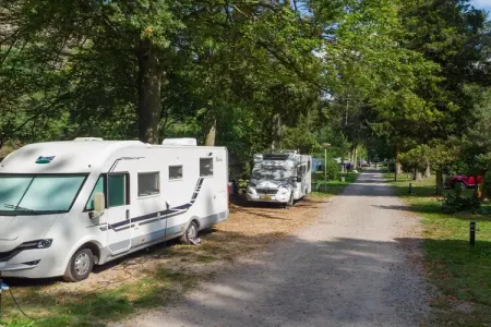Château Dieupart : appartement XVIe siècle en Ardenne : photo 28