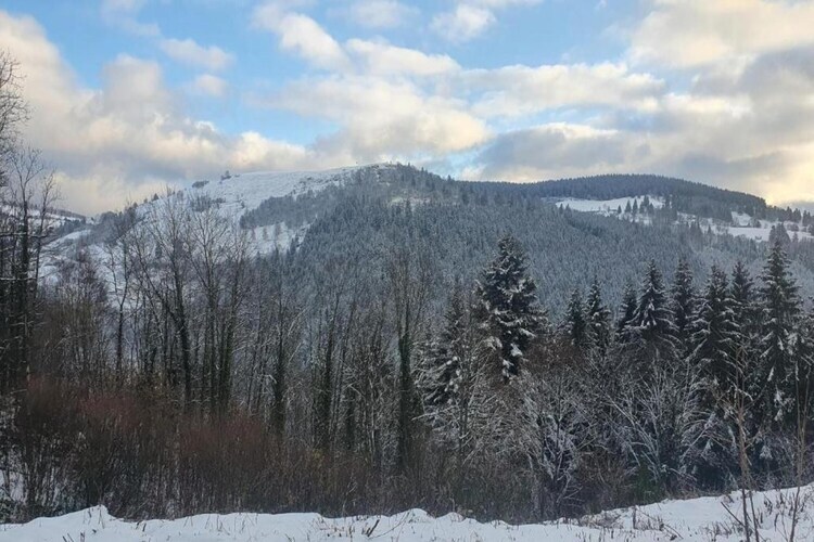 Le Renard, chalet en bois avec vue vallée à La Bresse - Photo 16