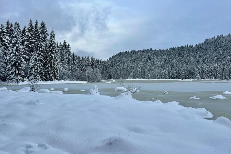 Le Renard, chalet en bois avec vue vallée à La Bresse - Photo 17