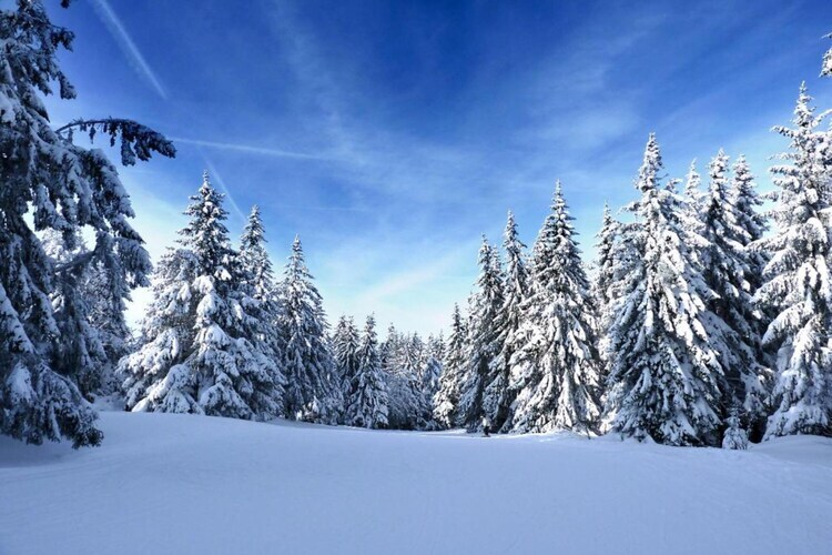 Le Renard, chalet en bois avec vue vallée à La Bresse - Photo 18