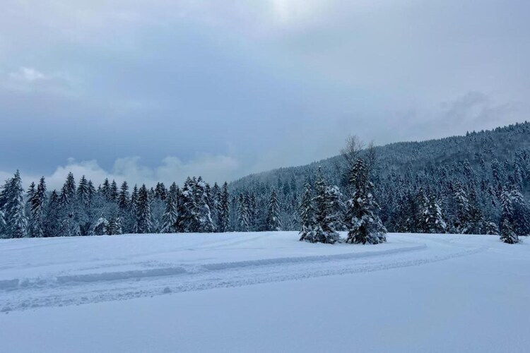 Le Renard, chalet en bois avec vue vallée à La Bresse - Photo 19