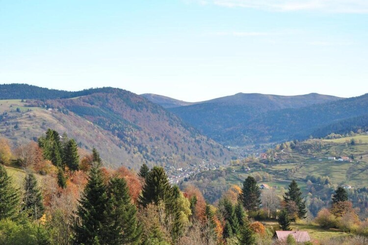 Le Renard, chalet en bois avec vue vallée à La Bresse - Photo 28