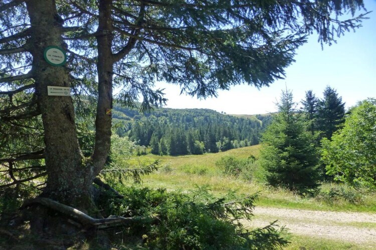 Le Renard, chalet en bois avec vue vallée à La Bresse - Photo 30