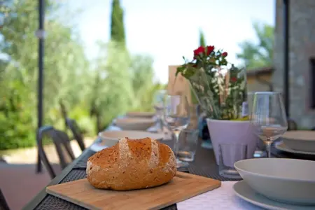 Villa Le Trappoline, maison 10 pers. vue château Brolio : photo 30