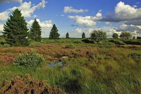 Pierreuse, Séjour élégant avec piscine, Jalhay - Photo 19