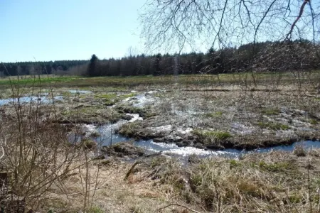 Pierreuse, Séjour élégant avec piscine, Jalhay - Photo 27