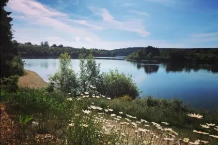 Pierreuse, Séjour élégant avec piscine, Jalhay - Photo 28