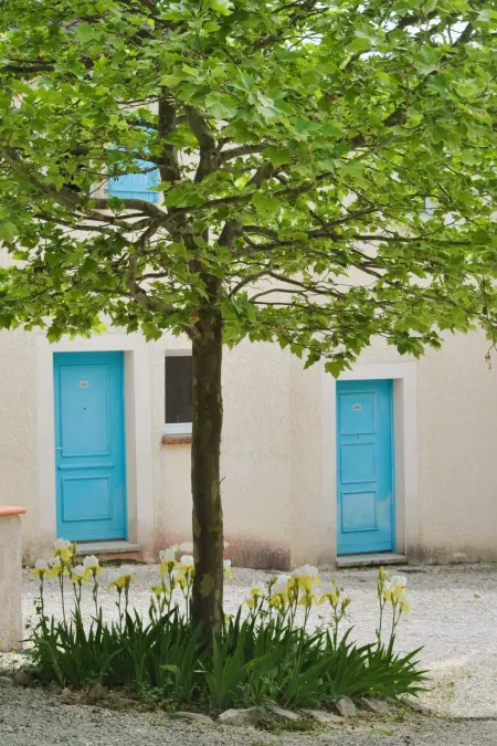 Maison Domaine des Cazelles, Cajarc - Piscine chauffée - Photo 30
