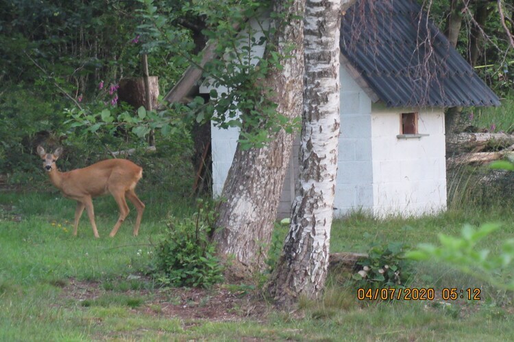 Chalet La Forêt à Tenneville avec four à pizza - Photo 25
