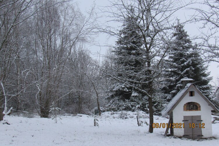 Chalet La Forêt à Tenneville avec four à pizza - Photo 40