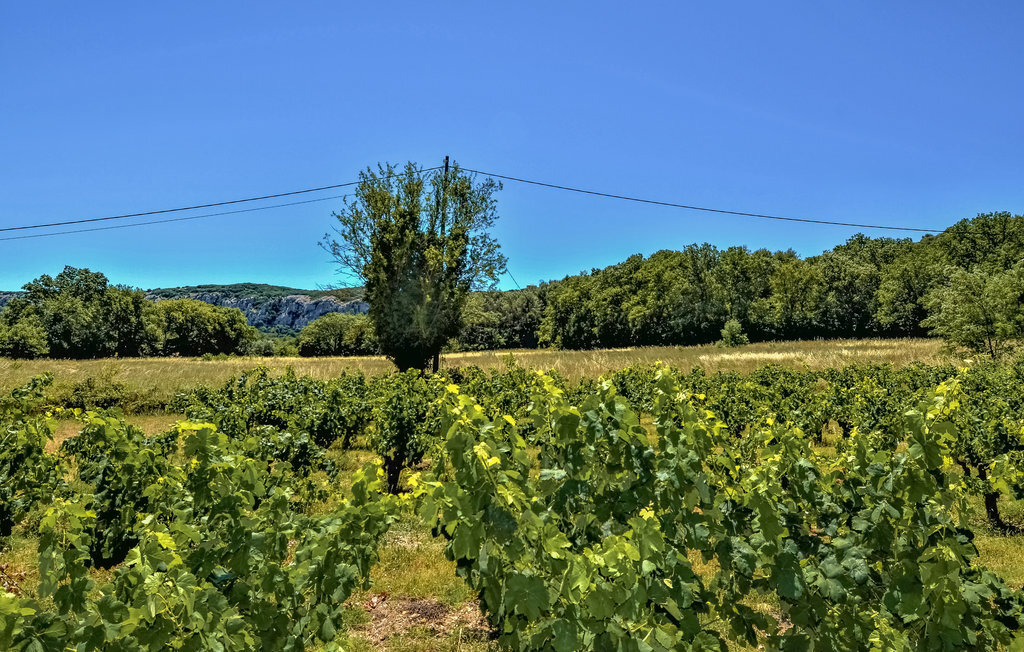 Maison provençale avec piscine privée près d'Avignon - Photo 16