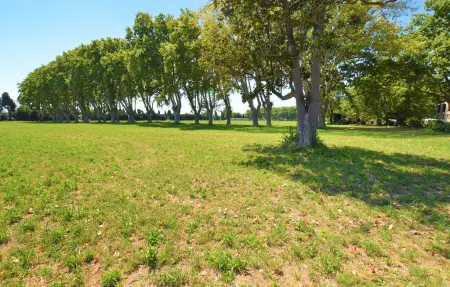 Maison pierre historique avec parc et ruisseau, Avignon : photo 10