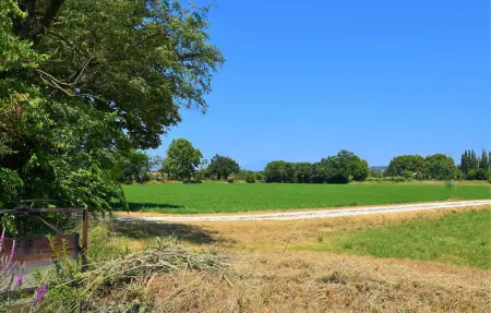 Maison pierre historique avec parc et ruisseau, Avignon : photo 11