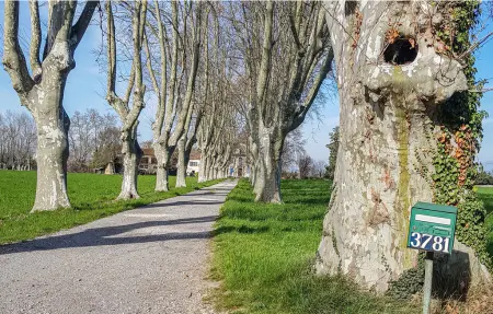 Maison pierre historique avec parc et ruisseau, Avignon : photo 13