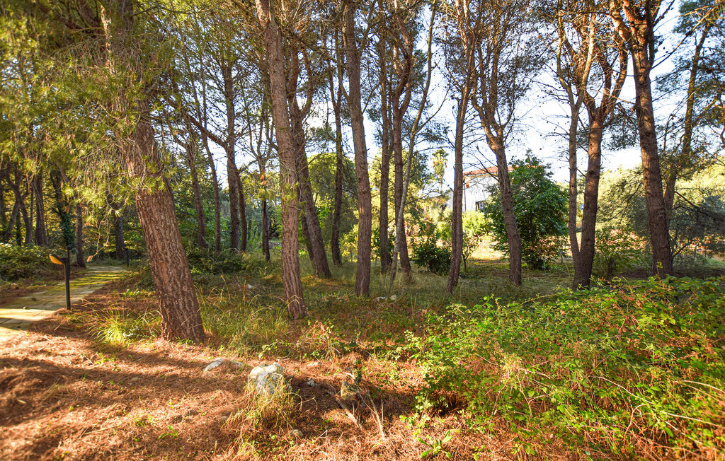 Trullo 1474, Maison 6 personnes à Ceglie Messapica - Photo 7
