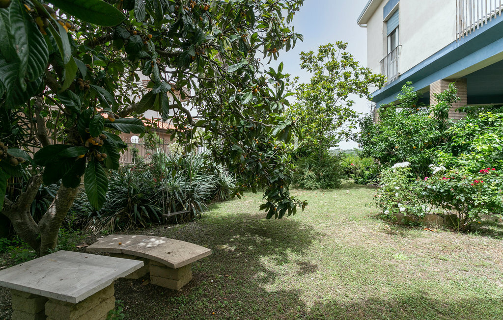 Villa Carlotta, Maison 10 personnes à Canino - Photo 15