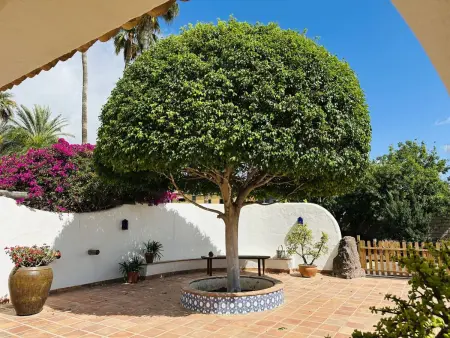 Finca Ingala, Location Maison 5 personnes à Costa Adeje - Photo 8