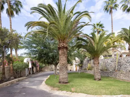 Finca Ingala, Location Maison 5 personnes à Costa Adeje - Photo 35