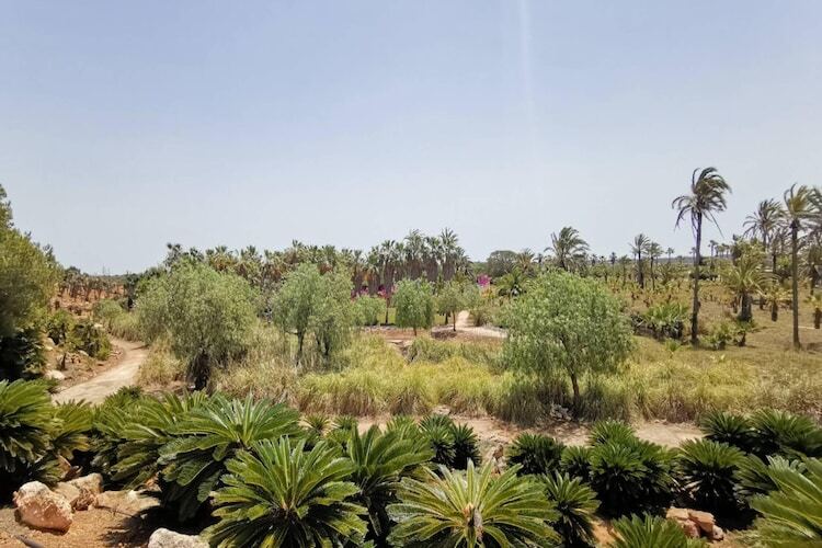 Villa Can Xesquet - Piscine privée & 4 hectares à Ses Salines - Photo 9