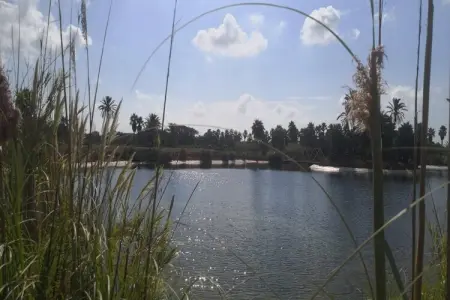 Villa Can Xesquet - Piscine privée & 4 hectares à Ses Salines : photo 6