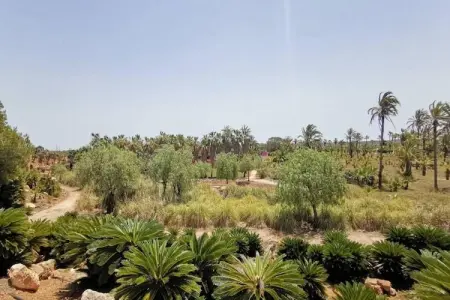 Villa Can Xesquet - Piscine privée & 4 hectares à Ses Salines : photo 9