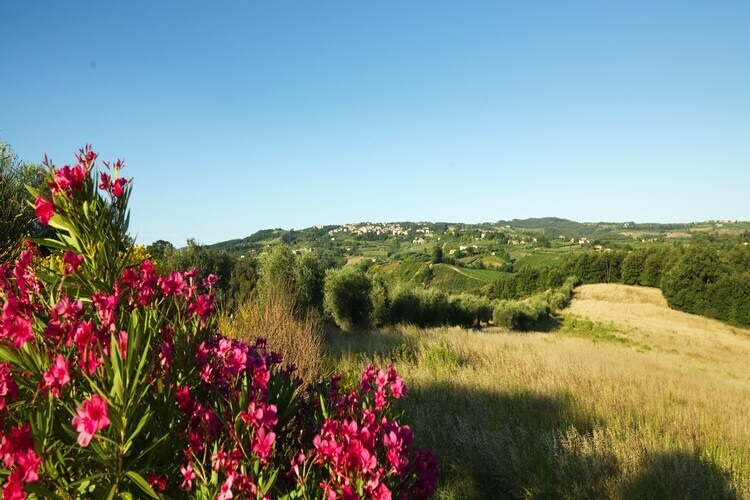 Casanova Dépendance – Maison 8 pers. Chianti - Photo 39