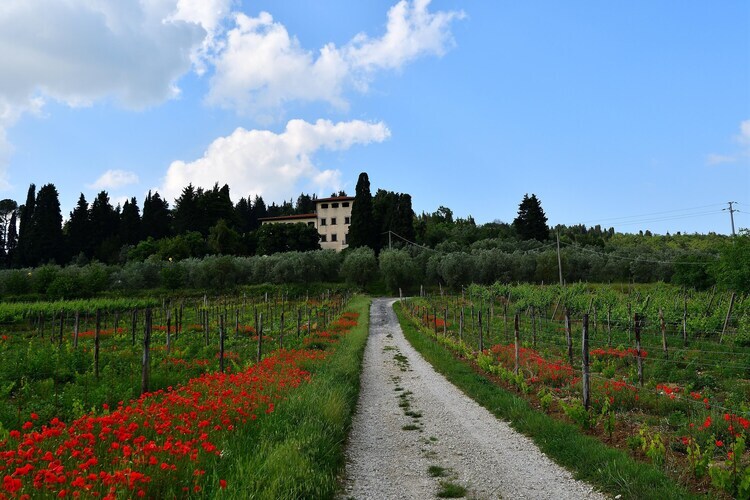 Villa Il Frassine, 12 pers. avec piscine privée en Toscane - Photo 28