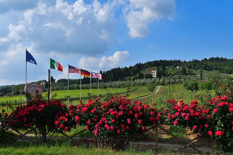 Villa Il Frassine, 12 pers. avec piscine privée en Toscane - Photo 30