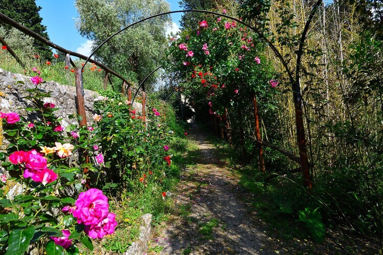 Villa Il Frassine, 12 pers. avec piscine privée en Toscane - Photo 31