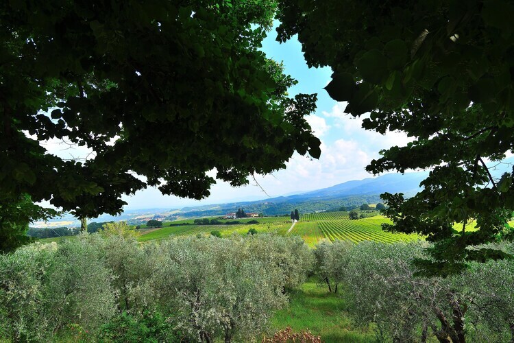 Villa Il Frassine, 12 pers. avec piscine privée en Toscane - Photo 36
