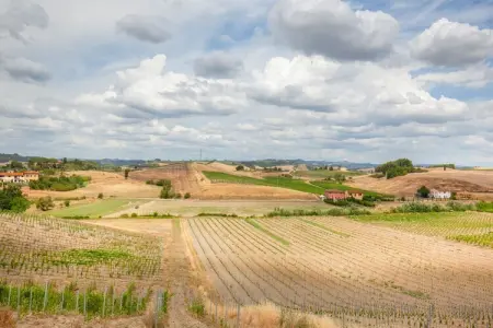Il Poggiale-app7-8, Spacieuse retraite en Toscane - Photo 28