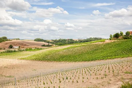 Il Poggiale-app7-8, Spacieuse retraite en Toscane - Photo 29