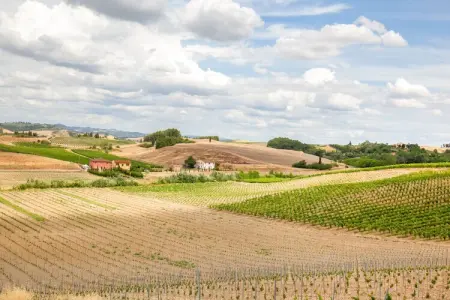 Il Poggiale-app7-8, Spacieuse retraite en Toscane - Photo 30