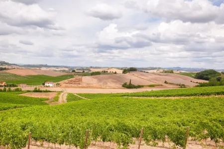 Il Poggiale-app7-8, Spacieuse retraite en Toscane - Photo 32
