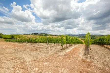 Il Poggiale-app7-8, Spacieuse retraite en Toscane - Photo 35