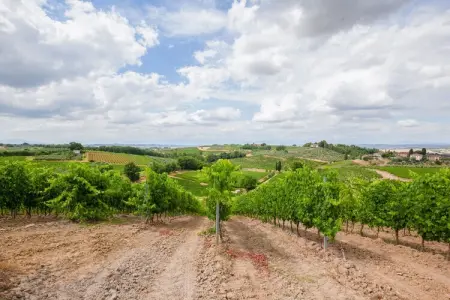 Il Poggiale-app7-8, Spacieuse retraite en Toscane - Photo 37