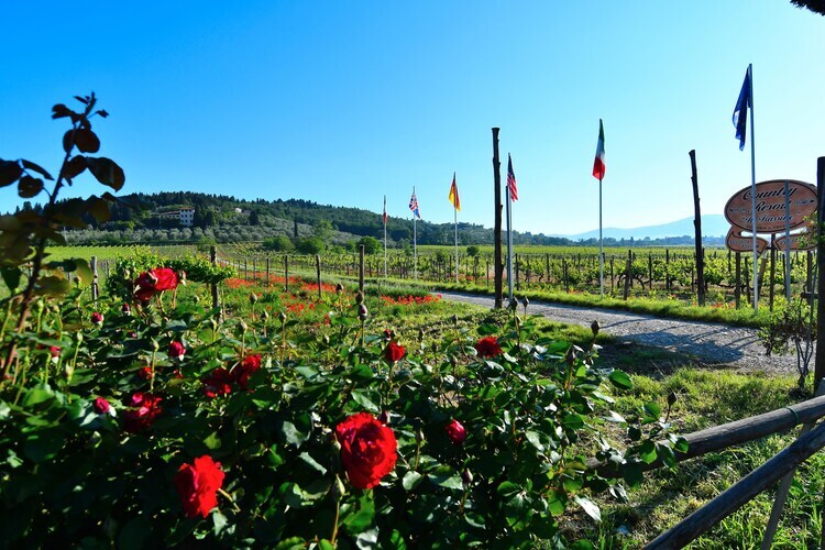Country Resort Il Frassine – Maison 12 pers. Chianti - Photo 32
