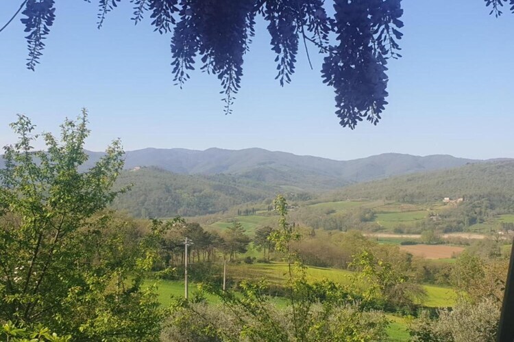 Country Resort Il Frassine – Maison 12 pers. Chianti - Photo 33