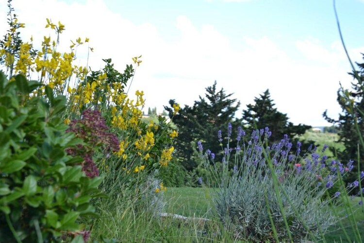 Country Resort Il Frassine – Maison 12 pers. Chianti - Photo 39