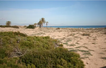 Maison 5 personnes à Santa Pola - Photo 19