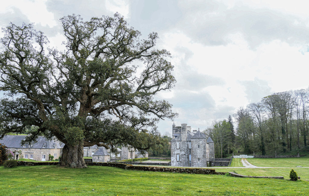 Maison dans l'orangerie du Château de Gonneville - Photo 12