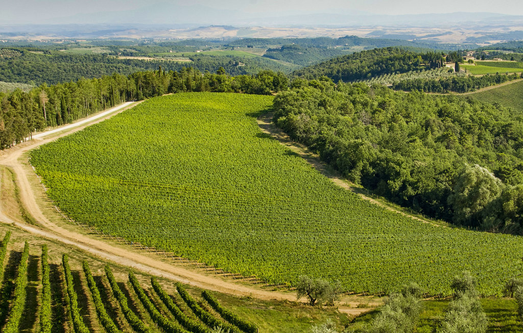 Maison Toscane 10 pers. à Greve in Chianti, jardin privé - Photo 27