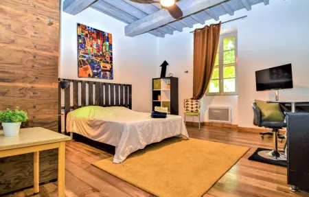 Mas provençal avec piscine privée à Tarascon : photo 42
