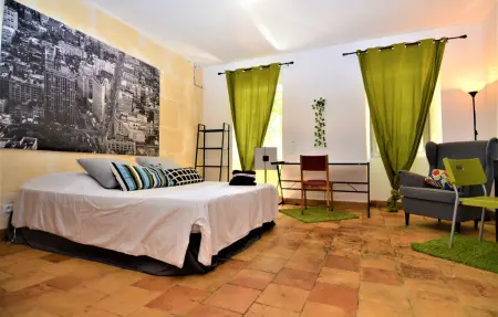 Mas provençal avec piscine privée à Tarascon : photo 43
