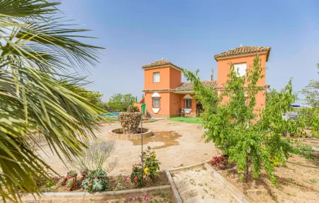 Maison 8 personnes à Arahal - Photo 12