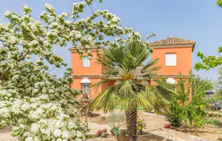 Maison 8 personnes à Arahal - Photo 17