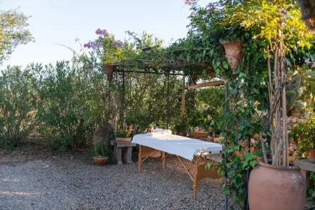 Villa Banc Doli – Piscine de sel et 7000 m² de jardins : photo 34