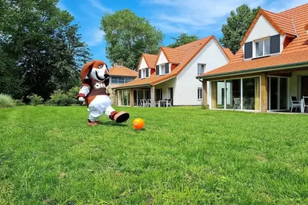 Villa 3 chambres Berck-sur-Mer, jardin et terrasse : photo 11