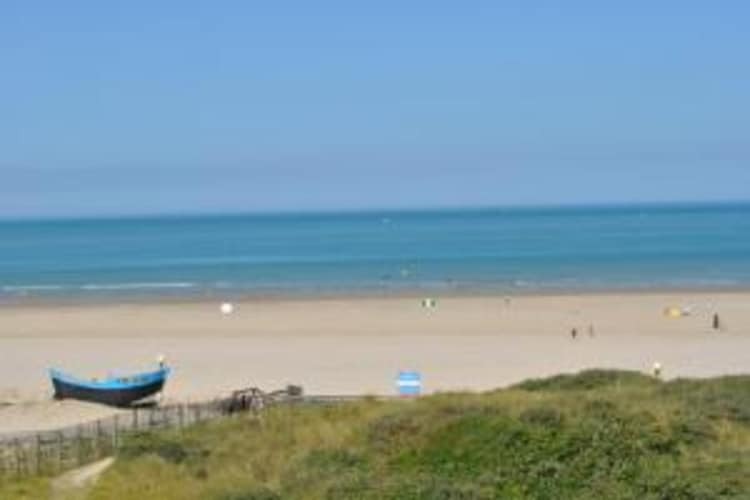 Villa 5 pièces Berck-sur-Mer, jardin et pet-friendly - Photo 26